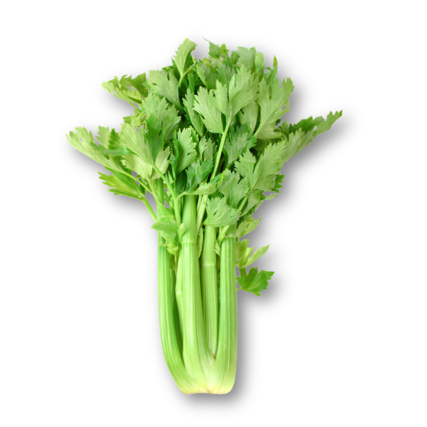 Cần tây yuuki.png