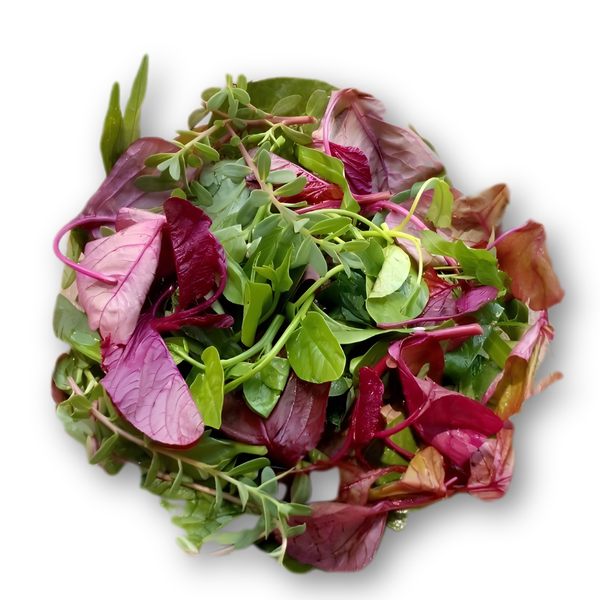 Rauu tập tàng.png