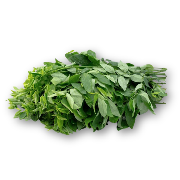Rau ngót.png