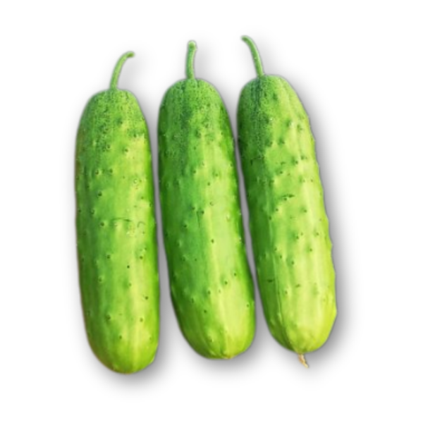 Dưa leo nếp thơm.png