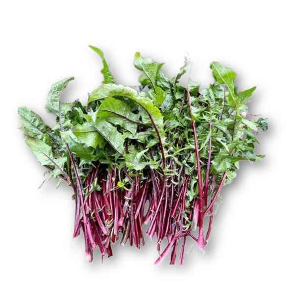Bồ công anh.png