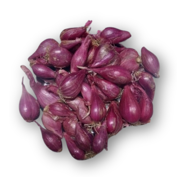 Untitled design (3).png