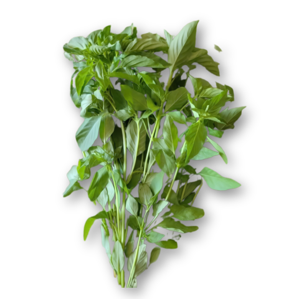 Bột tía tô Dalahouse - Hộp 20 gói 3g (1).png