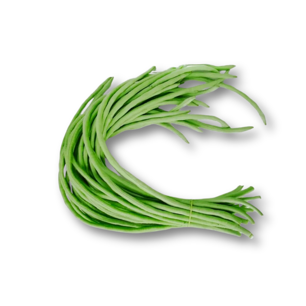 Thiết kế chưa có tên (2).png