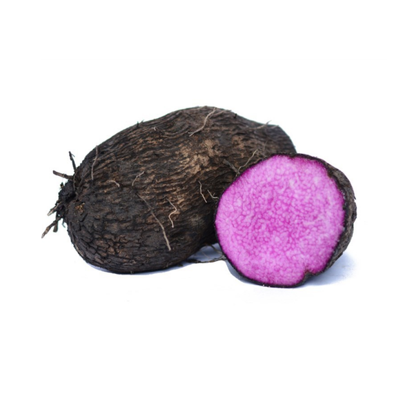 Thiết kế chưa có tên (4).png