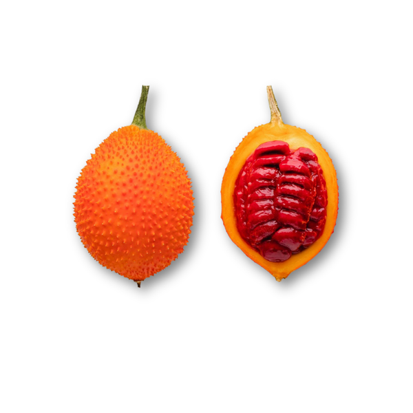 Thiết kế chưa có tên (5).png