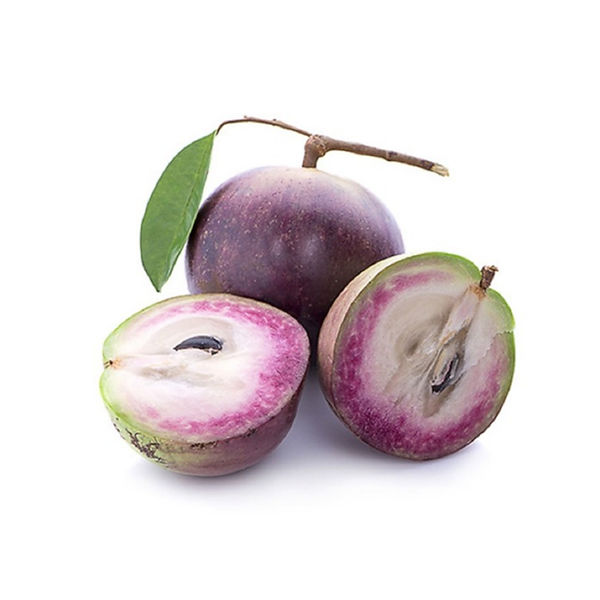 Thiết kế chưa có tên (7).png