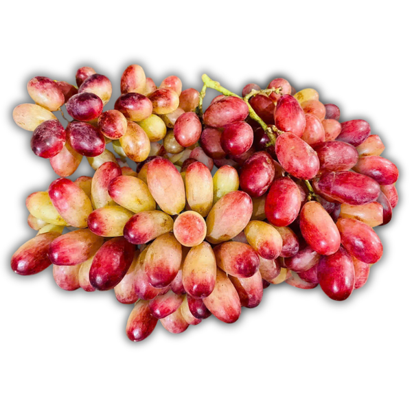 30 (16).png